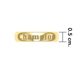 Champion Gold Vermeil Plate on Silver Band Ring