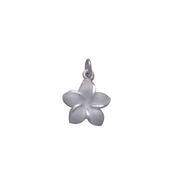 Plumeria - Hawaii National Flower Silver `8:Charm