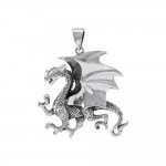 All geared and ready ~ Sterling Silver Jewelry Clawing Dragon Pendant