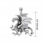 All geared and ready ~ Sterling Silver Jewelry Clawing Dragon Pendant