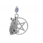 Cat Familiar Protection Pentacle Sterling Silver Pendentif