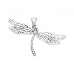 Colorful changes await ~ Dragonfly Sterling Silver Pendant Jewelry