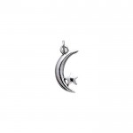 Crescent Moon and Star Silver Charm