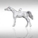 Arabian Horse Silver Charme