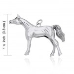 Arabian Horse Silver Charme