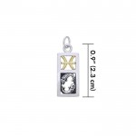 Pisces Silver and Gold Charm