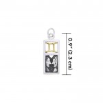 Gemini Silver and Gold Charm
