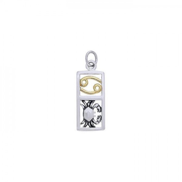 Cancer Silver and Gold Charm