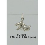 Twin Dolphins Silver Charm